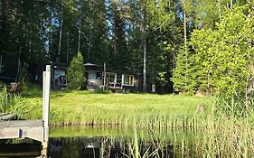 Mökki ympärivuotinen, Tammela